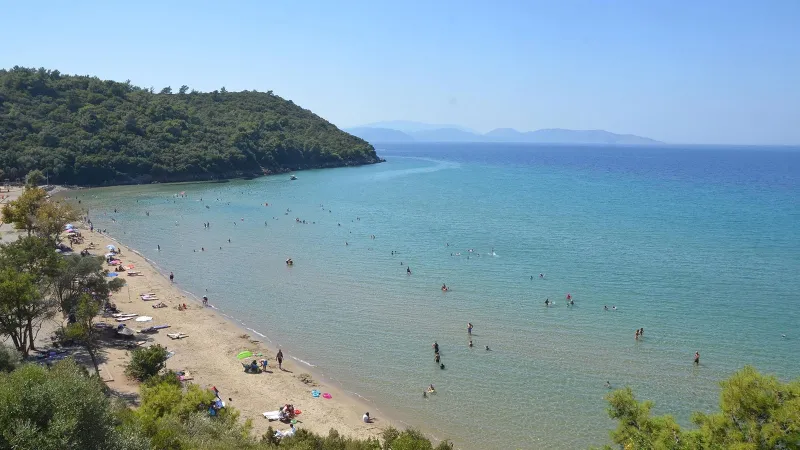 Aydın'da tatilci kadının çantası, yaban domuzları tarafından kaçırıldı
