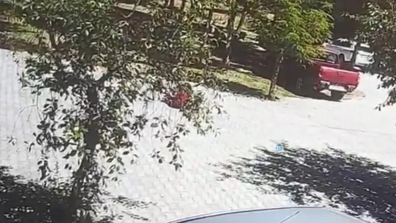 Köpek Dehşeti! Çocuğu Vatandaş Kurtardı (Son Dakika)