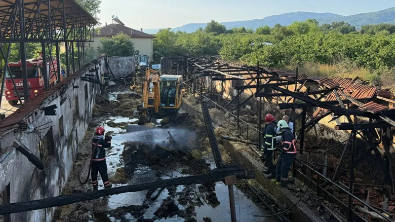 Çiftlikte yangın! 16 büyükbaş kurbanlık telef oldu