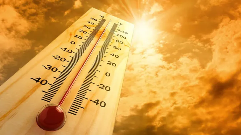 Dünya bu sene tarihin en sıcak mayıs ayını yaşadı