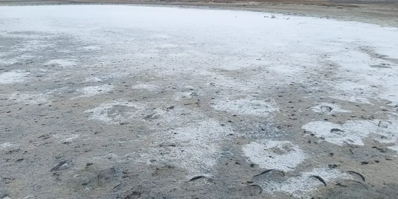 Edirne'de Tuz Gölü Alarmı! Kuraklık Tehlikesi Mi?
