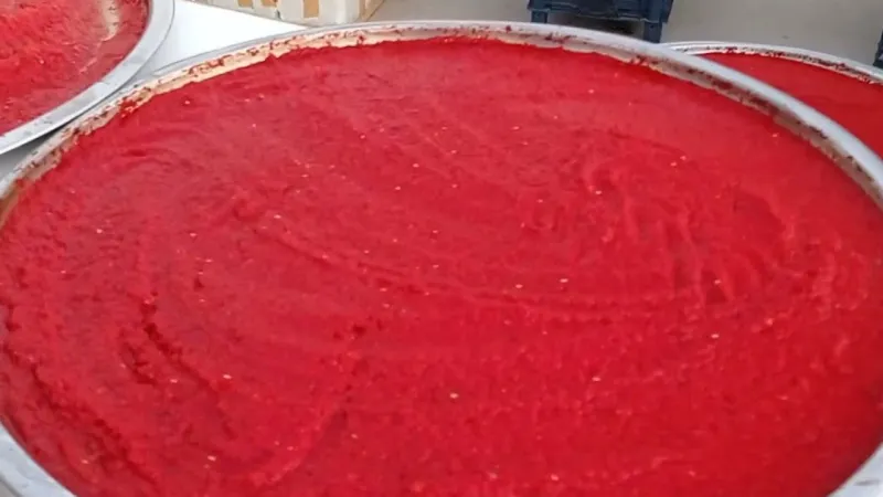 İzmir'in Salça Sırrı Çözüldü! Ev Yapımı Lezzet Bombası