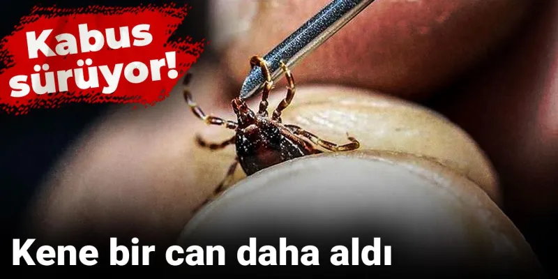 Kene Yine Vurdu! KKKA Alarmı: Bir Can Kaybı Daha!