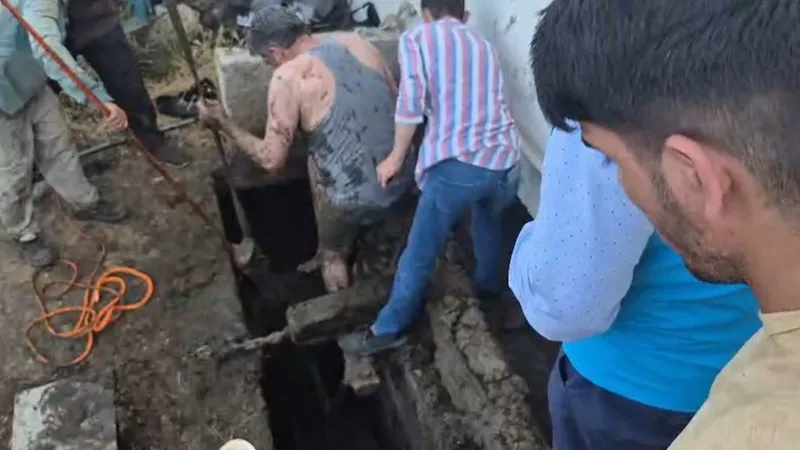 Kurbanlık boğa foseptik çukuruna düştü