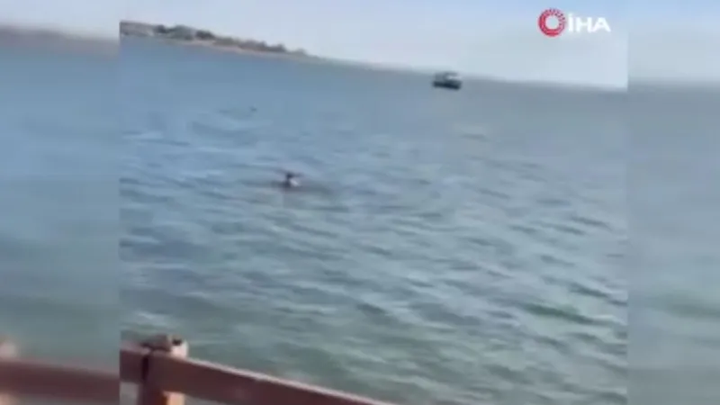 Mogan Gölü'nde Şok! "Kurtuldum" Diye Atladı, Sonrası İnanılmaz!