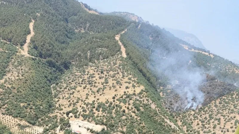 Manisa Alaşehir'de Korkutan Orman Yangını! Alevler Kontrol Altında mı?