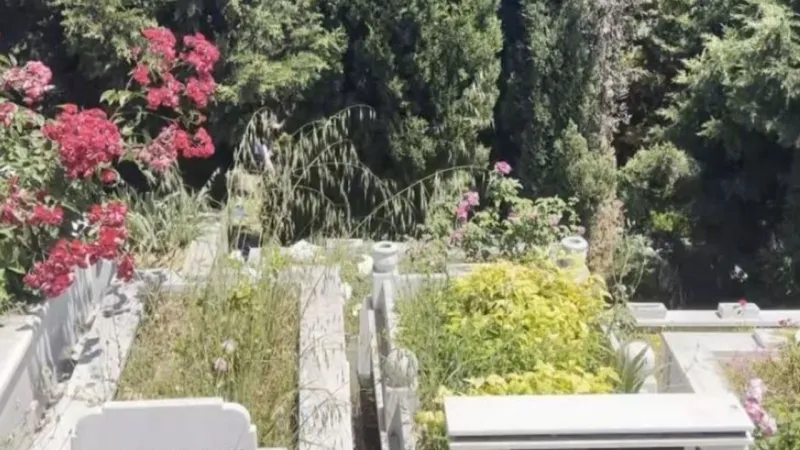 Mezarlıkta bebek cesedi bulundu!