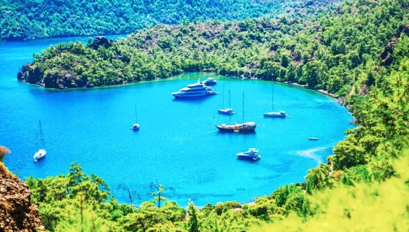 Muğla Ormanları Maden Kapsamında mı? Gerçek Ortaya Çıktı!
