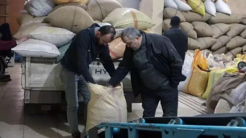Fındıkta Şok Düşüş! Fiyatlar Çakıldı, Üretici Ne Yapacak?