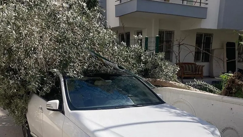 Antalya'da Kuvvetli Rüzgar: Fırtına Etkisiyle Yaşam Durdu