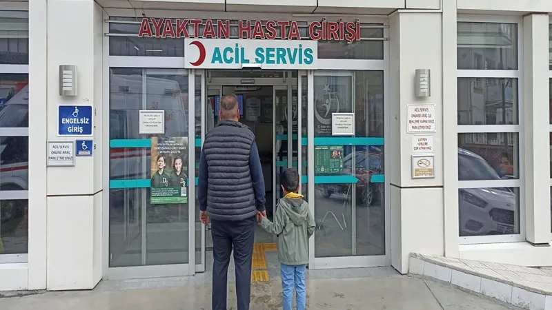Kastamonu'da Köpek Saldırısı! 5 Yaşındaki Çocuk Yaralandı