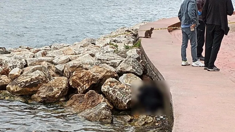 Kocaeli Sahilinde Şok! Kayalıklarda Erkek Cesedi Bulundu!