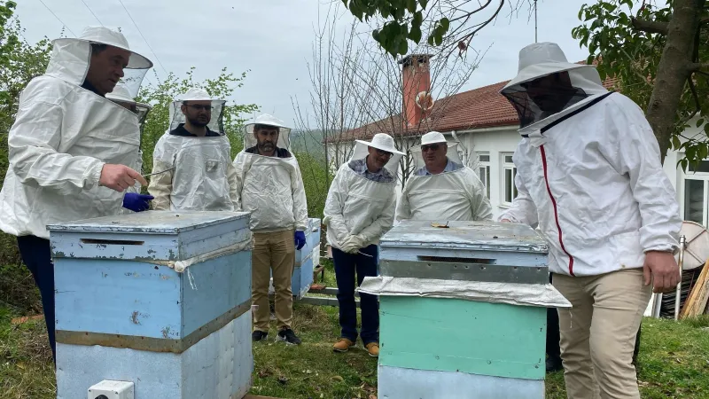 Ordu'da Arıcılık Zirvesi: 30 Ülkeden Arıcılar Buluştu!