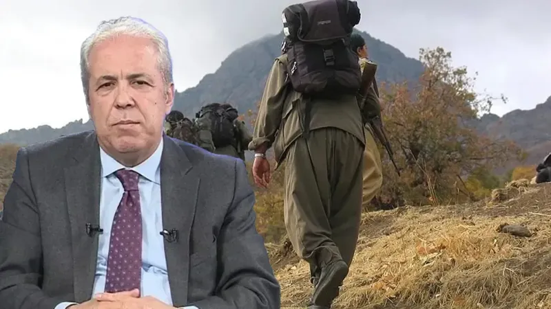 Şamil Tayyar’dan flaş iddia: 'PKK’nın bazı kadroları ağır silahlarla YPG’ye katıldı'