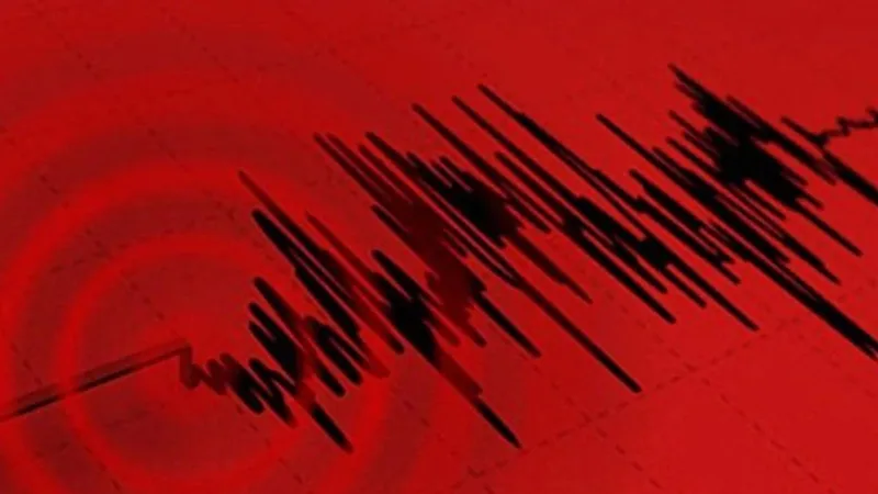 Son dakika: Afrika'nın güneybatısında korkutan deprem!