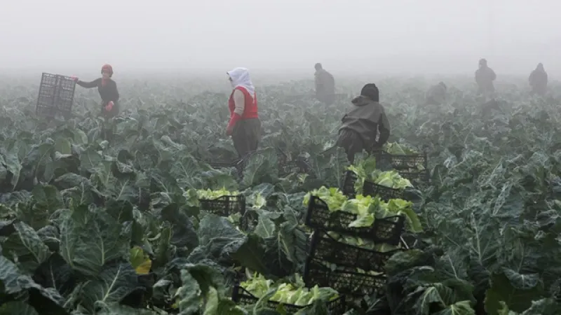 TARSİM'den Üreticiye Müjde! 7.3 Milyar TL Hasar Ödemesi Yapıldı