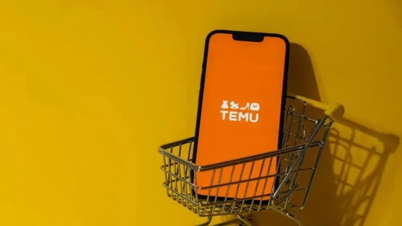 TEMU Türkiye'de Fırtına Gibi! 1 Günde Kargo Şoku!